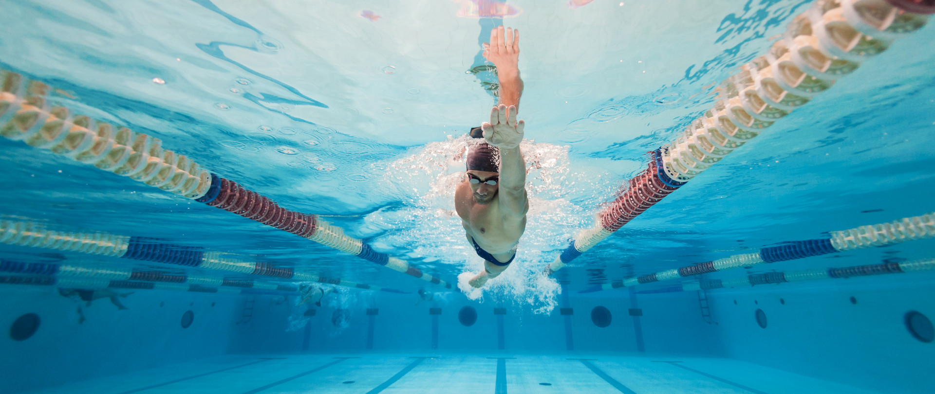 aquatique