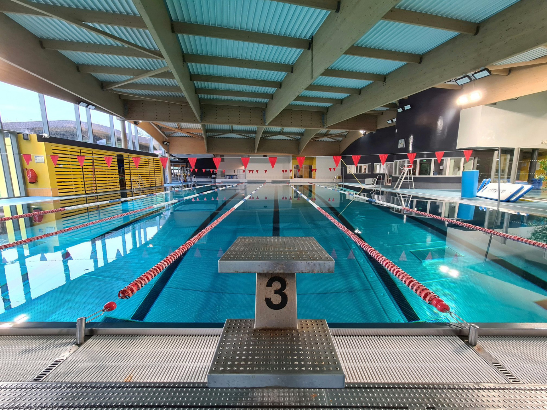 aquatique