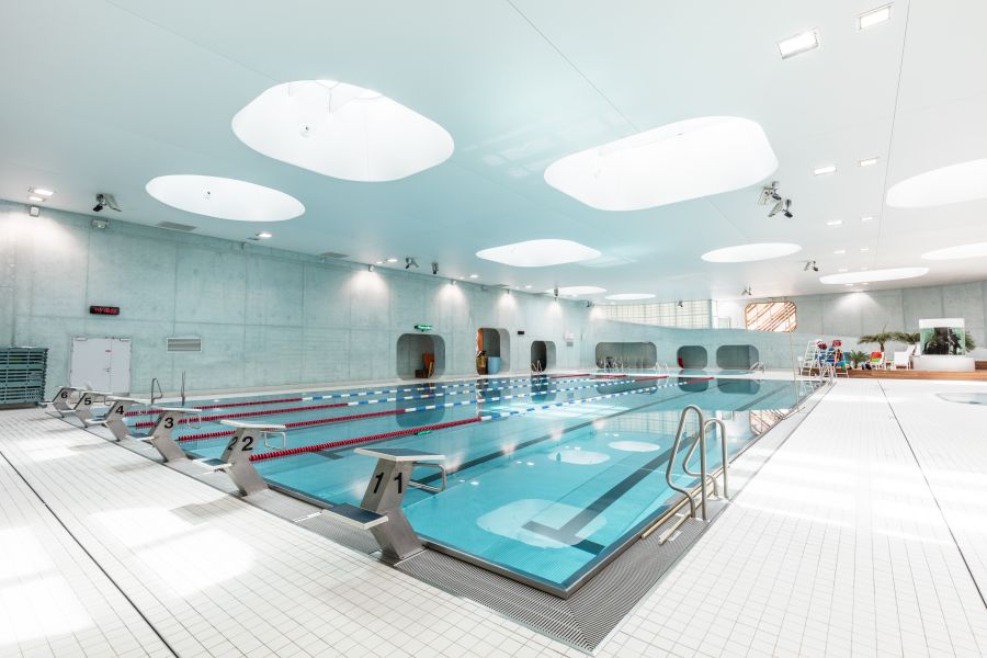 aquatique